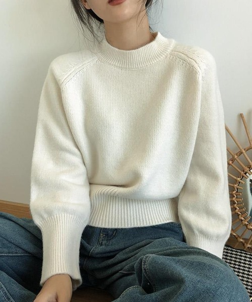 SallyLunn（サリーラン）の「クルーネックニット（ニット/セーター・レディース・ホワイト/ベージュ/ブラック/ブルー・MEDIUM/LARGE）」の2枚目の写真