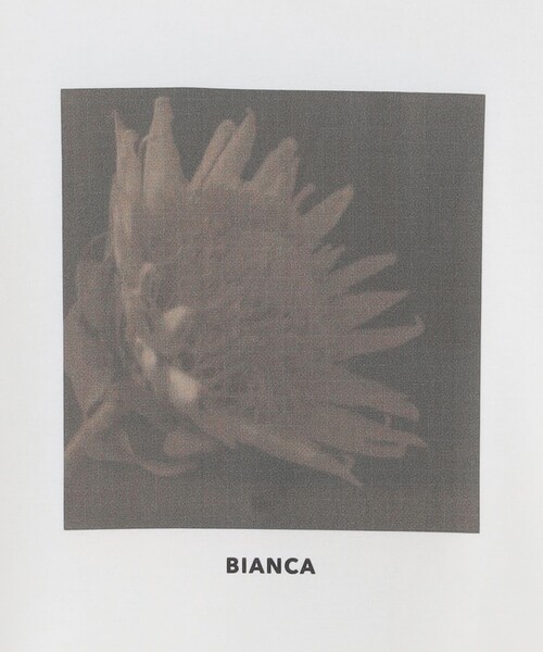 BIANCA(ビアンカ)の「【デイリーユース】バックプリントロンT(Tシャツ/カットソー・レディース・ネイビー/オフホワイト・38)」の9枚目の写真