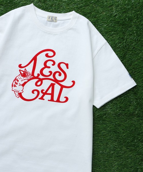 The Endless Summer(エンドレスサマー)の「TES VINTAGE LOGO FLOK PT T-SHIRT/ Tシャツ(Tシャツ/カットソー・メンズ・ホワイト/ブラック/アイボリー/ネイビー・MEDIUM/SMALL/X-LARGE/LARGE)」の2枚目の写真
