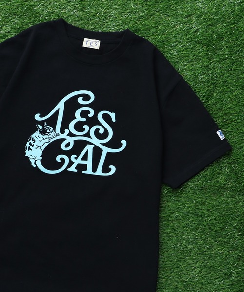 The Endless Summer(エンドレスサマー)の「TES VINTAGE LOGO FLOK PT T-SHIRT/ Tシャツ(Tシャツ/カットソー・メンズ・ホワイト/ブラック/アイボリー/ネイビー・MEDIUM/SMALL/X-LARGE/LARGE)」の4枚目の写真