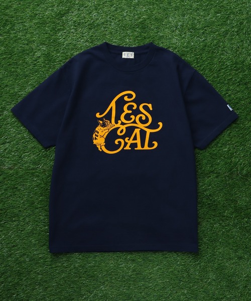 The Endless Summer(エンドレスサマー)の「TES VINTAGE LOGO FLOK PT T-SHIRT/ Tシャツ(Tシャツ/カットソー・メンズ・ホワイト/ブラック/アイボリー/ネイビー・MEDIUM/SMALL/X-LARGE/LARGE)」の6枚目の写真