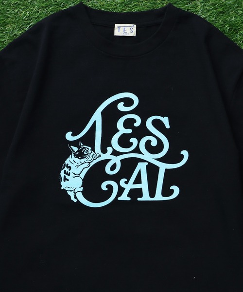 The Endless Summer(エンドレスサマー)の「TES VINTAGE LOGO FLOK PT T-SHIRT/ Tシャツ(Tシャツ/カットソー・メンズ・ホワイト/ブラック/アイボリー/ネイビー・MEDIUM/SMALL/X-LARGE/LARGE)」の9枚目の写真