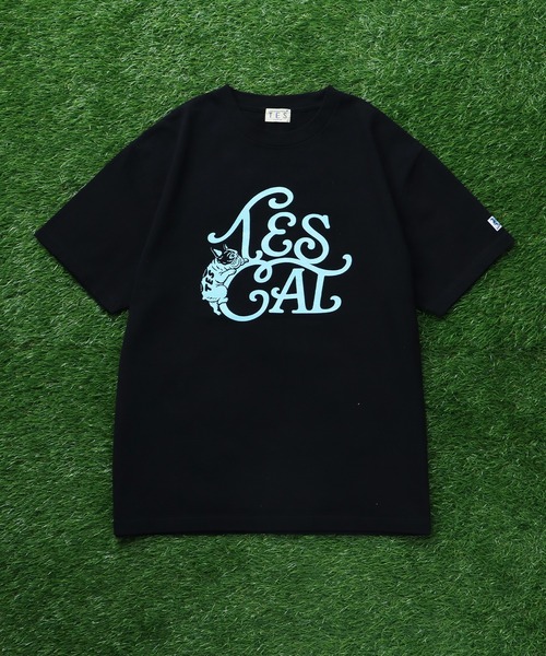 The Endless Summer(エンドレスサマー)の「TES VINTAGE LOGO FLOK PT T-SHIRT/ Tシャツ(Tシャツ/カットソー・メンズ・ホワイト/ブラック/アイボリー/ネイビー・MEDIUM/SMALL/X-LARGE/LARGE)」の8枚目の写真