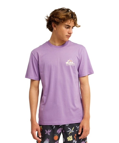 Quiksilver（クイックシルバー）の「【ONE PIECE X QUIKSILVER】OPQS MERRY SSメンズ Tシャツ/クイックシルバーワンピースコラボバックプリント半袖Tシャツ（Tシャツ/カットソー・メンズ・パープル系その他・LARGE）」の2枚目の写真