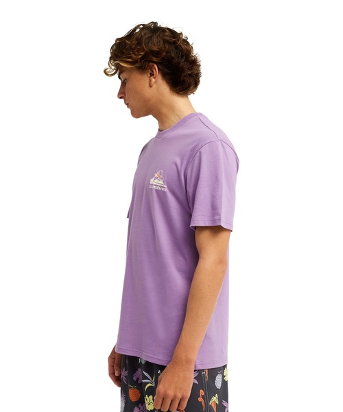Quiksilver（クイックシルバー）の「【ONE PIECE X QUIKSILVER】OPQS MERRY SSメンズ Tシャツ/クイックシルバーワンピースコラボバックプリント半袖Tシャツ（Tシャツ/カットソー・メンズ・パープル系その他・LARGE）」の3枚目の写真