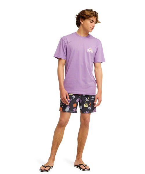 Quiksilver（クイックシルバー）の「【ONE PIECE X QUIKSILVER】OPQS MERRY SSメンズ Tシャツ/クイックシルバーワンピースコラボバックプリント半袖Tシャツ（Tシャツ/カットソー・メンズ・パープル系その他・LARGE）」の5枚目の写真