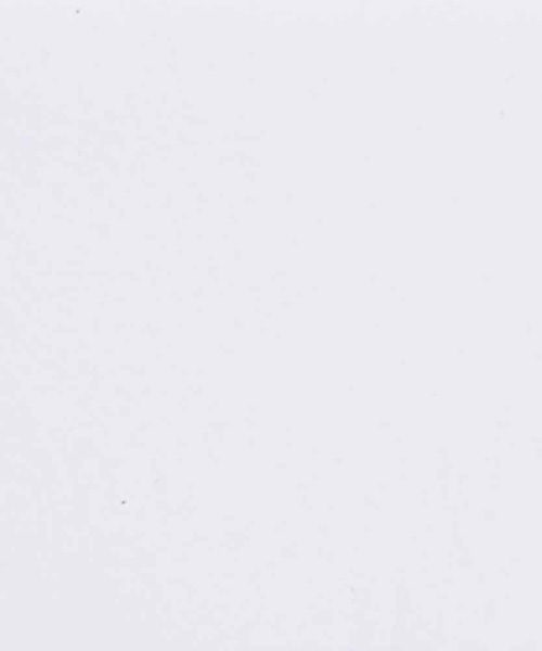 Dickies（ディッキーズ）の「Dickies 35㎜ プレーンベルト（ベルト・メンズ・ホワイト/ブラウン/キャメル/ブラック・FREE）」の16枚目の写真