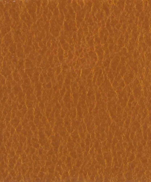 Dickies（ディッキーズ）の「Dickies 35㎜ プレーンベルト（ベルト・メンズ・ホワイト/ブラウン/キャメル/ブラック・FREE）」の11枚目の写真