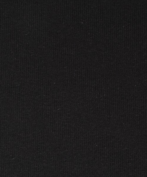 ORCIVAL(オーシバル)の「ORCIVAL/オーシバル コットンロード ワイドボートネックハーフスリーブ ソリッド WIDE BOATNECK HALFSLEEVE SOLID B248 22AW(Tシャツ/カットソー・レディース・ナチュラル/ウッド/ブルーグレー/ブラック・1)」の13枚目の写真