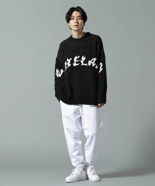 WHITELAND(ホワイトランド)の「【WEB&DEPOT限定】WHITELAND/ホワイトランド/FRONT LOGO CREWNECK KNIT(ニット/セーター・レディース・ブラック/アイボリー/ブルー・L/M)」の5枚目の写真