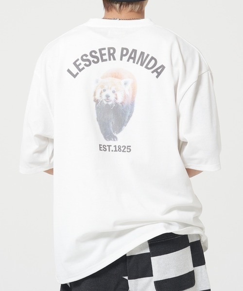 CORISCO(コリスコ)の「アニマルバックプリントTシャツ(M1)(Tシャツ/カットソー・メンズ・その他7/その他8/その他9/その他10/その他6/その他5/その他1/その他2/その他3/その他4・MEDIUM/LARGE/X-LARGE)」の5枚目の写真