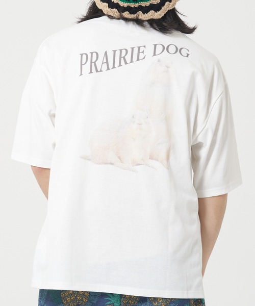 CORISCO(コリスコ)の「アニマルバックプリントTシャツ(M1)(Tシャツ/カットソー・メンズ・その他7/その他8/その他9/その他10/その他6/その他5/その他1/その他2/その他3/その他4・MEDIUM/LARGE/X-LARGE)」の6枚目の写真