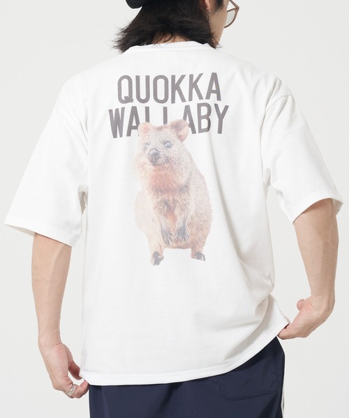 CORISCO(コリスコ)の「アニマルバックプリントTシャツ(M1)(Tシャツ/カットソー・メンズ・その他7/その他8/その他9/その他10/その他6/その他5/その他1/その他2/その他3/その他4・MEDIUM/LARGE/X-LARGE)」の7枚目の写真