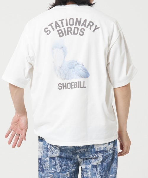 CORISCO(コリスコ)の「アニマルバックプリントTシャツ(M1)(Tシャツ/カットソー・メンズ・その他7/その他8/その他9/その他10/その他6/その他5/その他1/その他2/その他3/その他4・MEDIUM/LARGE/X-LARGE)」の8枚目の写真