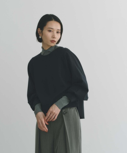BIANCA(ビアンカ)の「【オンオフ着回し】大人の洗練プルオーバー(Tシャツ/カットソー・レディース・ベージュ/ダークネイビー/オフホワイト・38)」の19枚目の写真