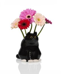 BIRTHDAY BAR(�o�[�X�f�C�o�[)�́yBITTEN�z�u���b�N�L���b�g �x�[�X(�t�����[�x�[�X)