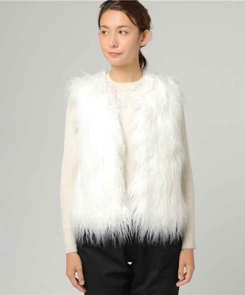 N.（N. Natural Beauty Basic）（エヌエヌナチュラルビューティーベーシック）の「ファーベスト（その他アウター・レディース・グレー/ホワイト・MEDIUM）」の7枚目の写真