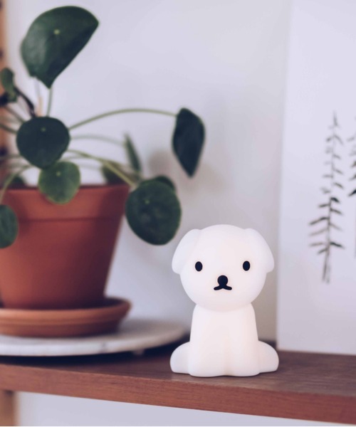 MrMariaBundleofLight