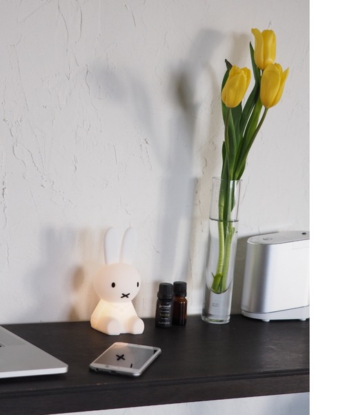 MrMariaBundleofLight