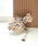 utatane�i�E�^�^�l�j�́u������ �܂݊����o���u�[�P���^�b�Z�� ���{���i�a�������j�v�b�s���N