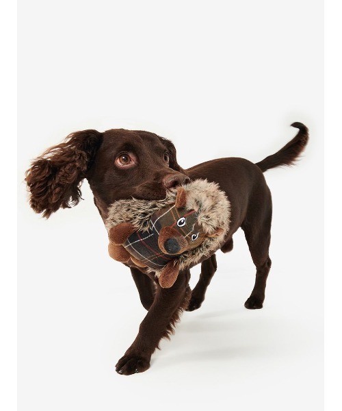 Barbour(ouA[)̃hbOgCinlY~j(ybgp)