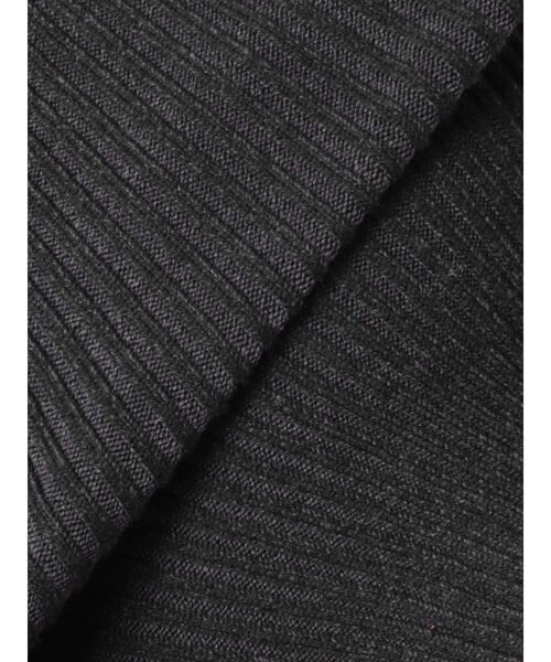 EMODA(エモダ)の「プレーティングハーフリブジップニット(ニット/セーター・レディース・グレー/ブラック/グリーン・FREE)」の14枚目の写真