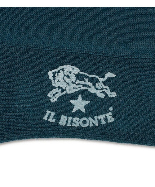 IL BISONTE(イルビゾンテ)の「IL BISONTE / ソックス / 2025 AUTUMN WINTER(ソックス/靴下・レディース・グリーン/ブラウン/ライトグレー/ブラック・1/2)」の11枚目の写真