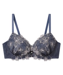 AMPHI(AtB)́uBLH311V[Yv@uW[(uW[)