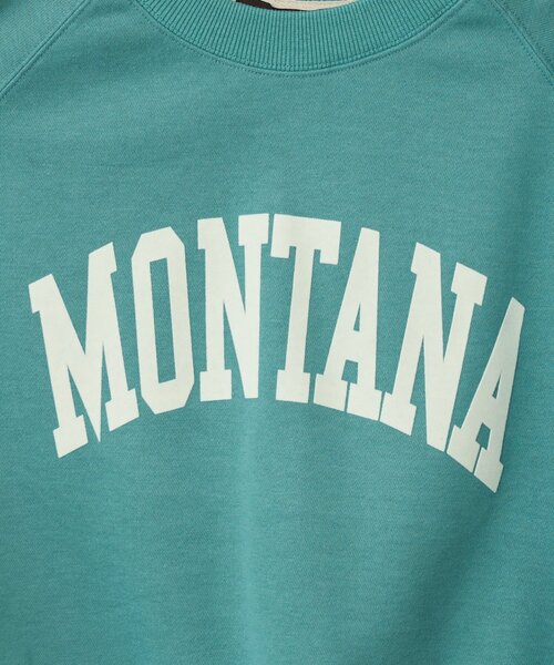 un dix cors（アンディコール）の「《大人カジュアルなムードに》ラグランロゴ裏毛ワイドプルオーバー（スウェット・レディース・グレー/オフホワイト/グリーン/ネイビー・FREE）」の12枚目の写真