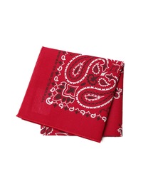 HAV-A-HANK（ハバハンク ）の「【HAV-A-HANK】PAISLEY　BANDANNA（バンダナ/スカーフ）」