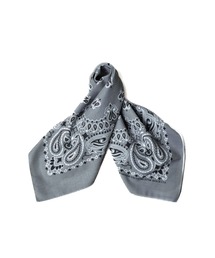 HAV-A-HANK（ハバハンク ）の「【HAV-A-HANK】PAISLEY　BANDANNA（バンダナ/スカーフ）」