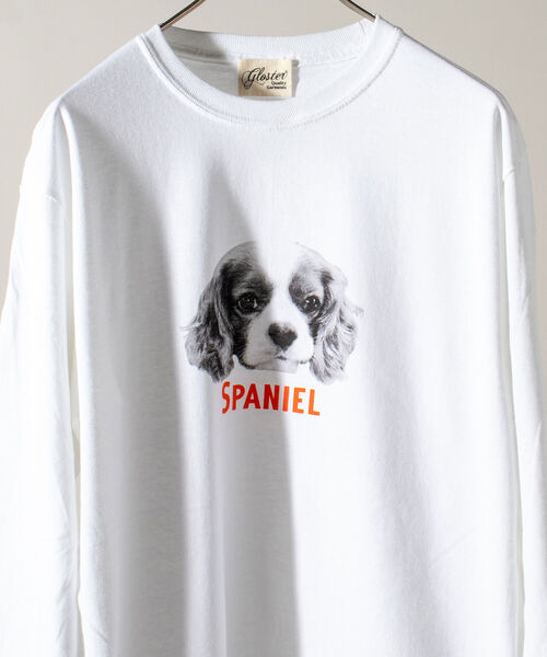 GLOSTER（グロスター）の「《人気の犬猫シリーズ続編！》【GLOSTER/グロスター】DOG&CAT 犬猫プリントロンT（Tシャツ/カットソー・メンズ・ホワイト/ホワイト系その他/ホワイト系その他2/ホワイト系その他3/ホワイト系その他4/ホワイト系その他5/ホワイト系その他6/ホワイト系その他7・MEDIUM/LARGE）」の3枚目の写真