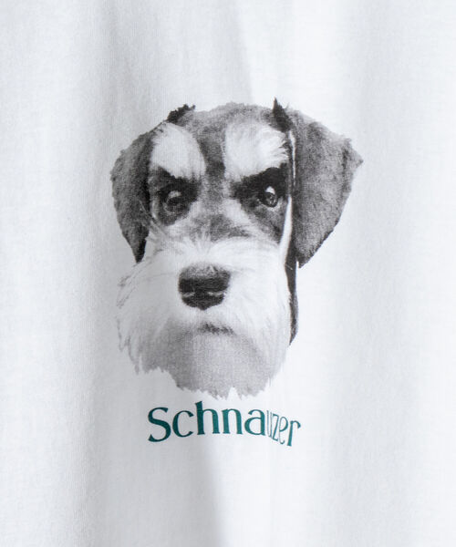 GLOSTER（グロスター）の「《人気の犬猫シリーズ続編！》【GLOSTER/グロスター】DOG&CAT 犬猫プリントロンT（Tシャツ/カットソー・メンズ・ホワイト/ホワイト系その他/ホワイト系その他2/ホワイト系その他3/ホワイト系その他4/ホワイト系その他5/ホワイト系その他6/ホワイト系その他7・MEDIUM/LARGE）」の11枚目の写真