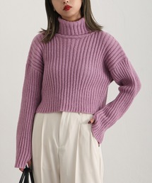 バッグスリットハイネックショートニット