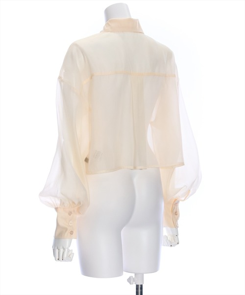 clear(クリア)の「ショート丈シアーシャツ≪2024SS≫(シャツ/ブラウス・レディース・ピンク/グリーン/ライトグレー/ライトベージュ/オフホワイト/ブラウン・F)」の7枚目の写真