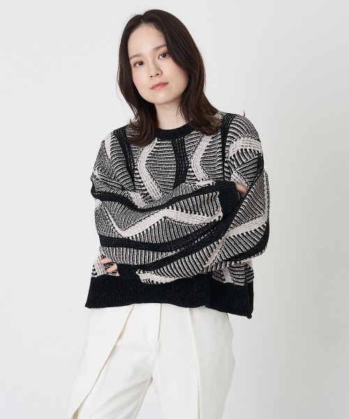 A de a.v.v（アードアー・ヴェ・ヴェ）の「ジャガードニットプルオーバー（ニット/セーター・レディース・アイボリー/ブラック・39）」の9枚目の写真