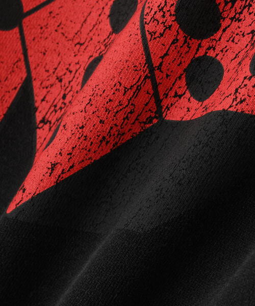 FR(13)NDS（フレンズ）の「FR(13)NDS /フレンズ/Min Cherryflag SWEAT CREW（スウェット・メンズ・ブラック/ホワイト・L/M）」の5枚目の写真