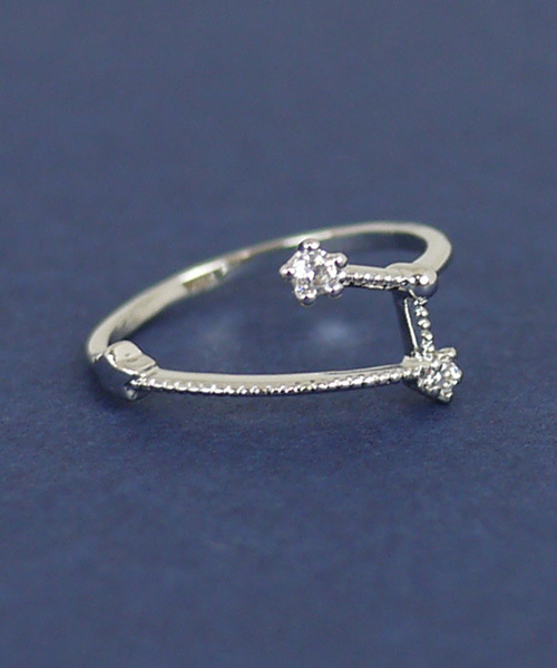 florist（フローリスト）の「ホロスコープ星座リング（リング・レディース・その他33/その他35/その他14/その他31/その他30/その他17/その他23/その他32/その他/その他22/その他28/その他16/その他21/その他10/その他12/その他26/その他6/その他20/その他34/その他9/その他15/その他27/その他5/その他2/その他18/その他11/その他24/その他3/その他7/その他19/その他29/その他8/その他4/その他1/その他13/その他25・9号/13号/15号/11号/5号/7号）」の16枚目の写真