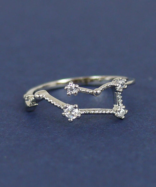 florist（フローリスト）の「ホロスコープ星座リング（リング・レディース・その他33/その他35/その他14/その他31/その他30/その他17/その他23/その他32/その他/その他22/その他28/その他16/その他21/その他10/その他12/その他26/その他6/その他20/その他34/その他9/その他15/その他27/その他5/その他2/その他18/その他11/その他24/その他3/その他7/その他19/その他29/その他8/その他4/その他1/その他13/その他25・9号/13号/15号/11号/5号/7号）」の18枚目の写真