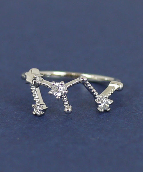 florist（フローリスト）の「ホロスコープ星座リング（リング・レディース・その他33/その他35/その他14/その他31/その他30/その他17/その他23/その他32/その他/その他22/その他28/その他16/その他21/その他10/その他12/その他26/その他6/その他20/その他34/その他9/その他15/その他27/その他5/その他2/その他18/その他11/その他24/その他3/その他7/その他19/その他29/その他8/その他4/その他1/その他13/その他25・9号/13号/15号/11号/5号/7号）」の20枚目の写真