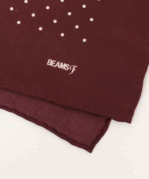 BEAMS F(ビームスエフ)の「BEAMS F / シルク ドット ポケットチーフ(ポケットチーフ・メンズ・ブラウン/ブラック/ネイビー/ワイン・ONE SIZE)」の9枚目の写真