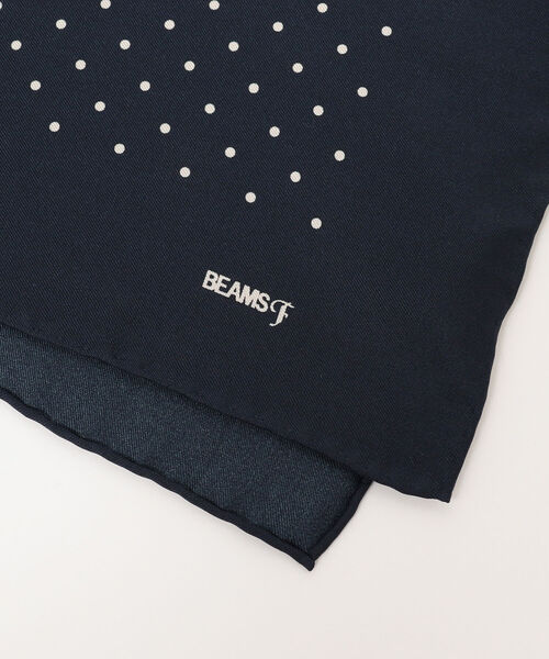 BEAMS F(ビームスエフ)の「BEAMS F / シルク ドット ポケットチーフ(ポケットチーフ・メンズ・ブラウン/ブラック/ネイビー/ワイン・ONE SIZE)」の11枚目の写真