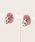 tone�i�g�[���j�́u�ykun�z��l���킢�������s�A�X(MA)�i�s�A�X�i�����p�j�j�v�b�s���N�x�[�W��