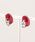 tone�i�g�[���j�́u�ykun�z��l���킢�������s�A�X(MA)�i�s�A�X�i�����p�j�j�v�b���b�h