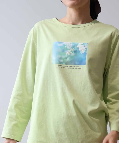 MB mint breeze(エムビーミントブリーズ)の「【L~5L 大きいサイズ】コットングラフィック7分袖Tシャツ(Tシャツ/カットソー・レディース・グリーン/オフホワイト/ネイビー・3L/LL/5L/4L/L)」の15枚目の写真