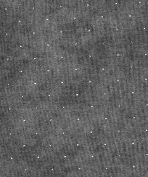 dispark（ディスパーク）の「DISPARK/【25年春夏新作】ビジューバタフライチェーントップス（Tシャツ/カットソー・レディース・チャコール/ベージュ・FREE）」の21枚目の写真