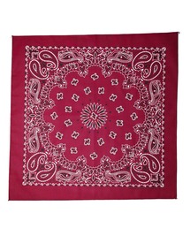 B.I.D.（ビーアイディー）の「《HAV-A-HANK》PAISLEY　BANDANNA（バンダナ/スカーフ）」