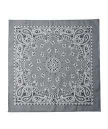 B.I.D.（ビーアイディー）の「《HAV-A-HANK》PAISLEY　BANDANNA（バンダナ/スカーフ）」