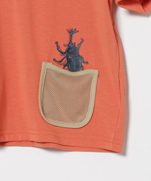 BEAMS mini(ビームスミニ)の「メッシュ ポケット 昆虫 Tシャツ 2026SS (吸水速乾・UVカット)カジュアル 外遊び プチプラ 保育園 通学 定番(Tシャツ/カットソー・キッズ・オレンジ/ロイヤルブルー/ブラウン系その他2・100/110/130/90/120)」の10枚目の写真