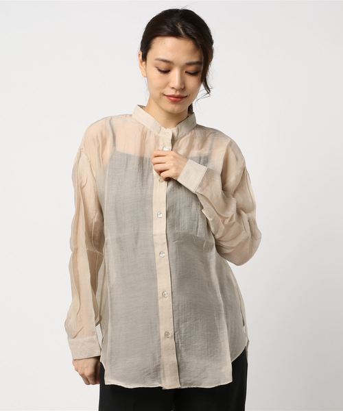 GIORDANO(�W�����_�[�m)��[GIORDANO]�V�[�X���[�o���h�J���[�V���c(�V���c/�u���E�X)